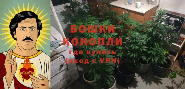 крисы Белоозёрский