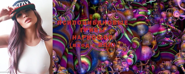 молекула духа Богородск