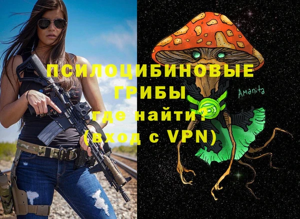молекула духа Богородск