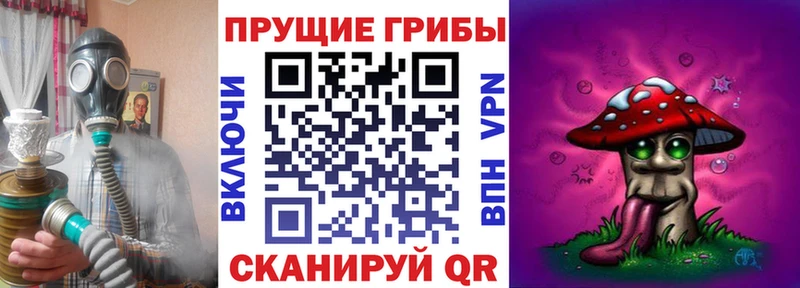 OMG ТОР  даркнет сайт  Минусинск  Галлюциногенные грибы Psilocybe 