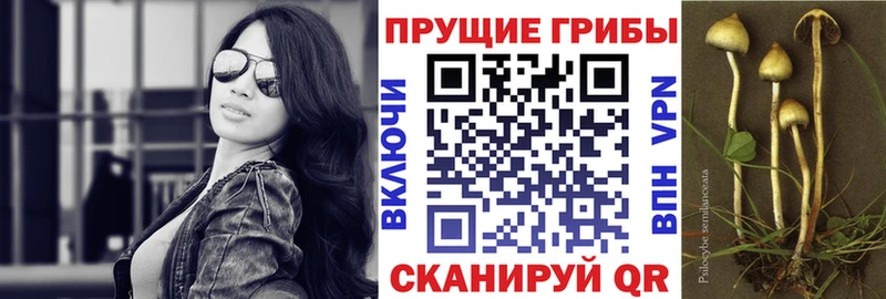 Галлюциногенные грибы ЛСД Минусинск